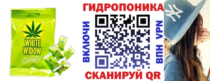 Cannafood конопля  Купить закладки  Кемь 