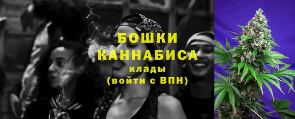 сатива Белоозёрский