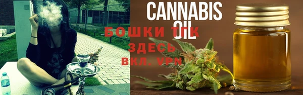 сатива Белоозёрский
