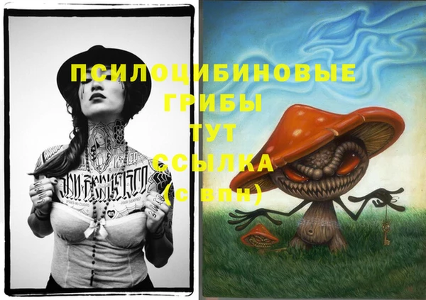 прущая мука Белокуриха