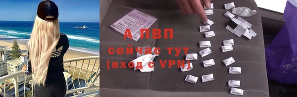 сатива Белоозёрский