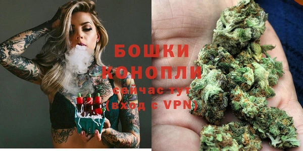 сатива Белоозёрский