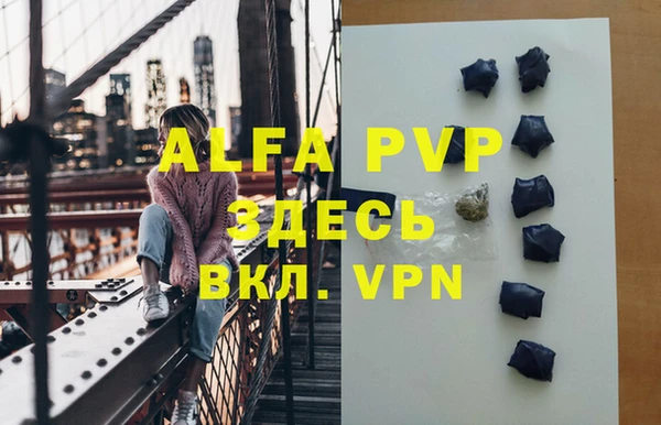 амф Беломорск