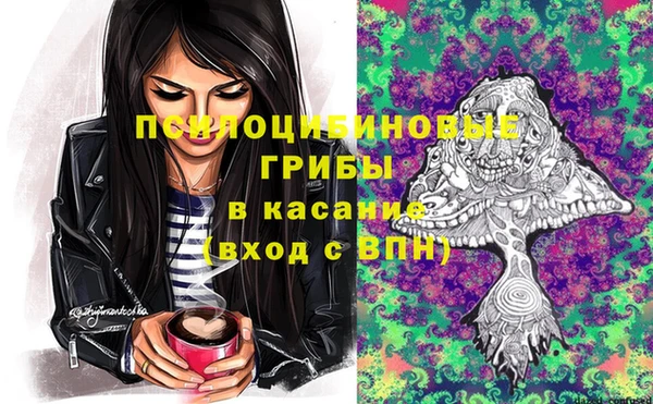 прущая мука Белокуриха