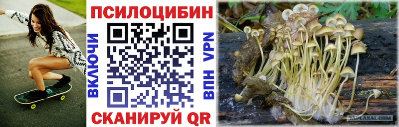 Галлюциногенные грибы GOLDEN TEACHER  Купить закладки  Кемь 