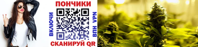 Купить закладки  Кемь  Каннабис планчик 